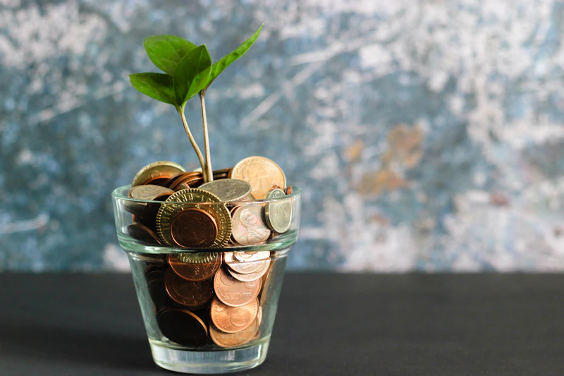 Cash Flow Management - outsourced accounting service